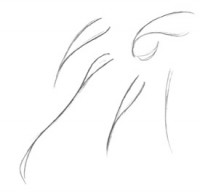 /album/fotogaleria/hair1a-jpg/