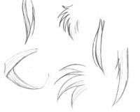 /album/fotogaleria/hair1b-jpg/