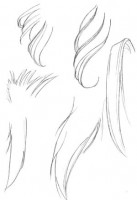 /album/fotogaleria/hair1c-jpg/